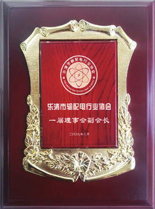 2009乐清市输配电行业协会一届理事会副会长